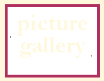 picture gallery